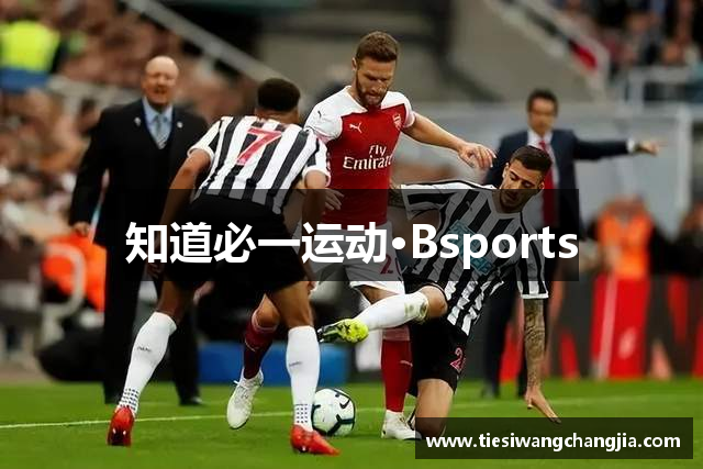 B体育·(sports)官方网站·网页版登录入口